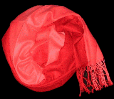 shocking pink ombre pashmina shawl.